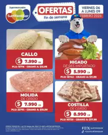 Catálogo Surtifamiliar semana 6 Página 5