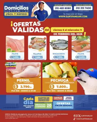 Catálogo Surtifamiliar (válido hasta 11-02)