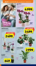 ALDI akciós újság hét 7 Oldal 16