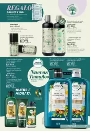 Catálogo Nova Venta Página 17