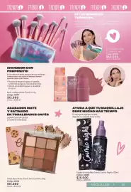 Catálogo Nova Venta Página 43