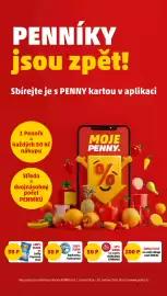 Penny Market leták týden 7 Strana 31