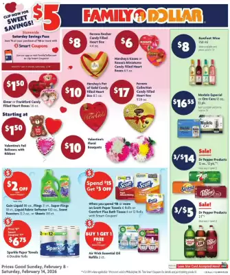 Family Dollar weekly ad (valid until 14-02)
