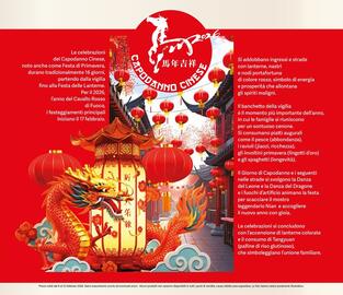 Volantino Il Gigante Pagina 8