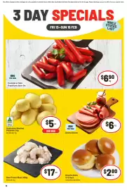 IGA catalogue Page 1