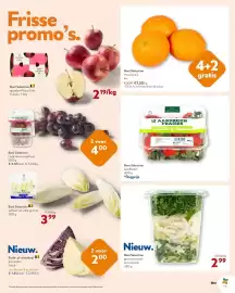 OKay folder Pagina 9