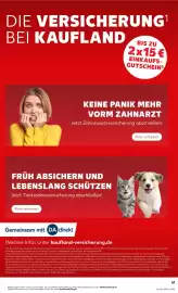 Kaufland Prospekt Seite 61