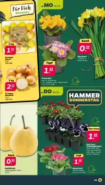 NETTO Prospekt woche 8 Seite 3