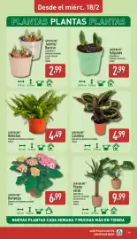 Folleto ALDI semana 8 Página 19