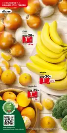 Folleto Dia semana 7 Página 4