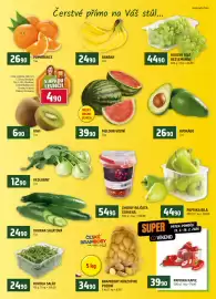 Terno leták týden 7 Strana 6