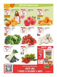 Globus leták týden 7 Strana 11