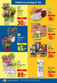 Lidl tilbudsavis uge 7 Side 10