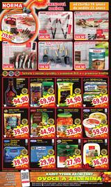 Norma leták týden 8 Strana 8