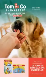 Tom&Co folder Pagina 1