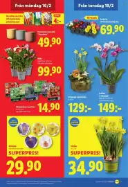 Lidl reklamblad vecka 8 Sida 20