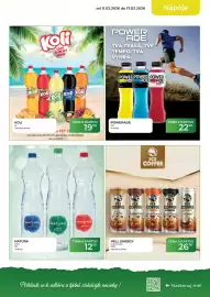 Tamda Foods leták týden 7 Strana 13