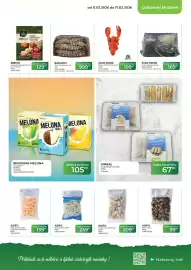 Tamda Foods leták týden 7 Strana 21