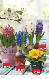 Catalog Kaufland săptămâna 7 Pagină 10