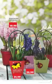 Catalog Kaufland săptămâna 7 Pagină 11