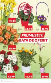 Catalog Kaufland săptămâna 7 Pagină 12