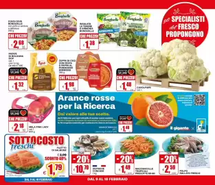 Volantino Il Gigante Pagina 11