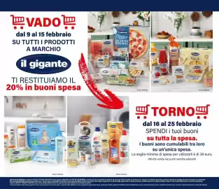 Volantino Il Gigante Pagina 25