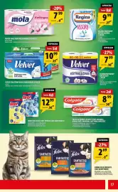 Arhelan gazetka Strona 17