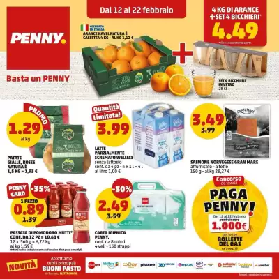 Volantino PENNY (valido fino al 22-02)