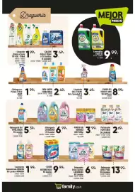Catálogo Family Cash Página 13