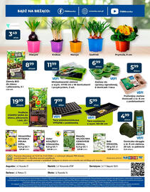 Mrówka gazetka Strona 8