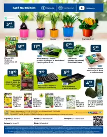 Mrówka gazetka Strona 8