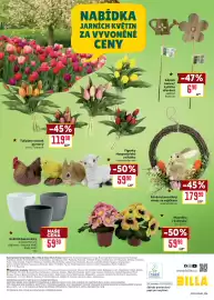 Billa leták Strana 12