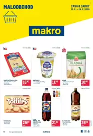Makro leták Strana 1