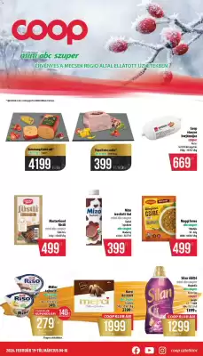 Coop akciós újság (érvényes eddig: 4-03)