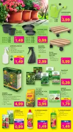 KODi Prospekt woche 7 Seite 5