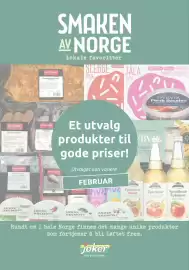 Joker kundeavis uke 7 Side 17