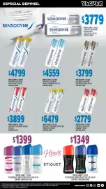 Catálogo Supermercados Yaguar Página 13