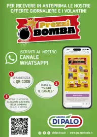 Volantino Gruppo di Palo Pagina 33