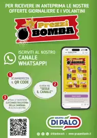 Volantino Gruppo di Palo Pagina 38