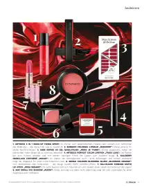 Müller Flugblatt Seite 17