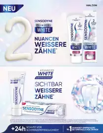 Müller Flugblatt Seite 64