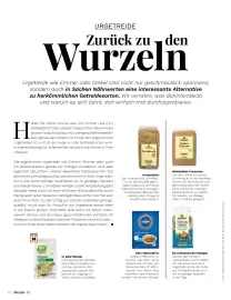 Müller Flugblatt Seite 70