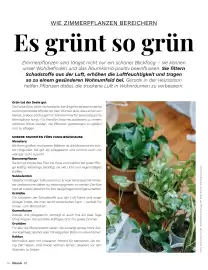 Müller Flugblatt Seite 74