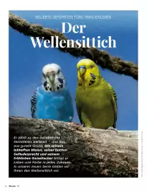 Müller Flugblatt Seite 84