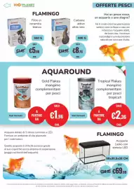 Volantino ZooPlanet Pagina 10