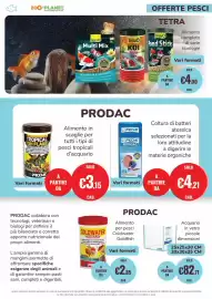 Volantino ZooPlanet Pagina 11