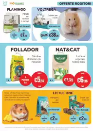 Volantino ZooPlanet Pagina 12