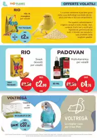 Volantino ZooPlanet Pagina 13