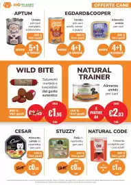 Volantino ZooPlanet Pagina 3